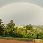 WhatsApp Image 2026-03-25 at 15.37.05 (3)