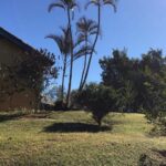 WhatsApp Image 2026-04-10 at 23.05.39